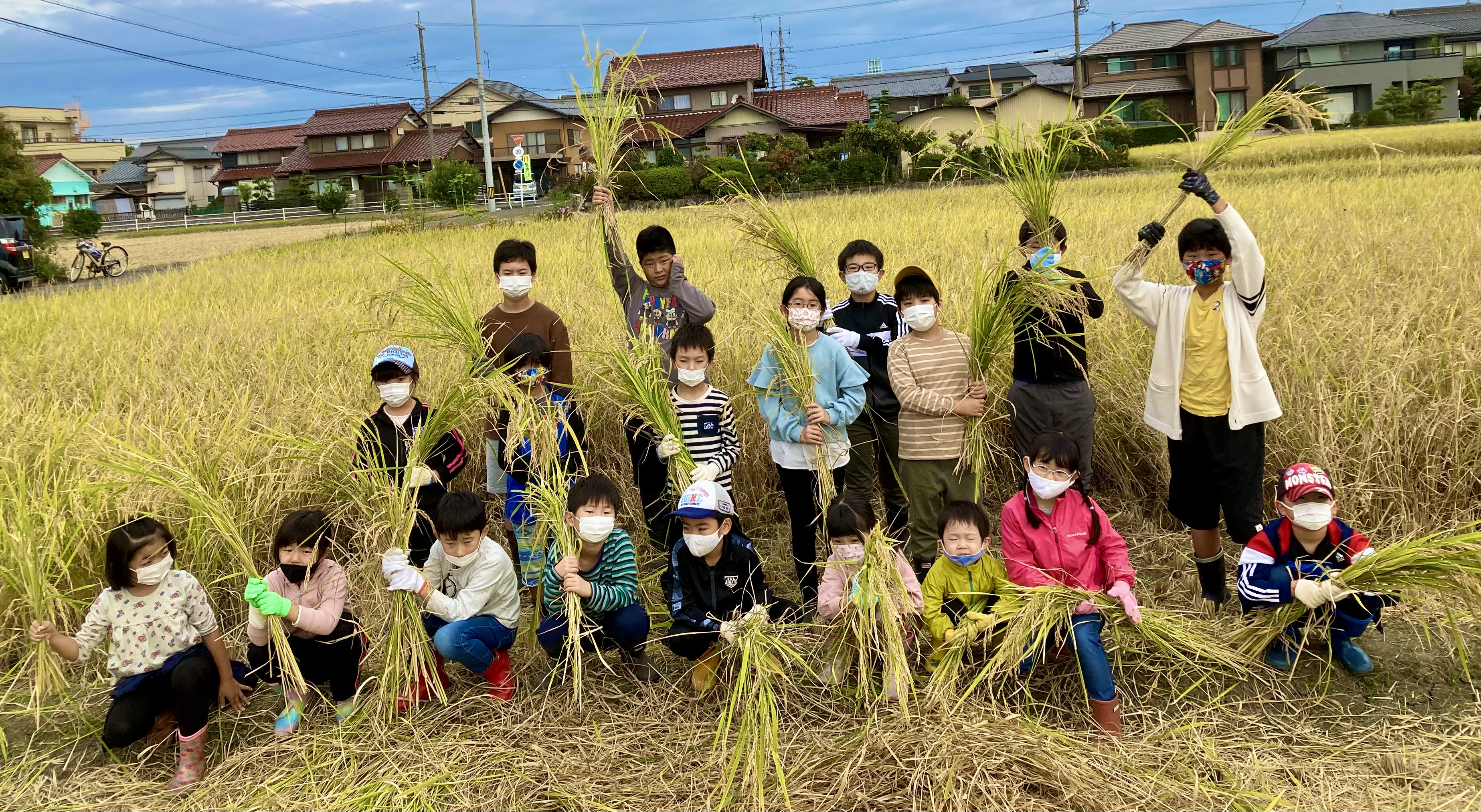 お米の楽校（がっこう）　参加者募集