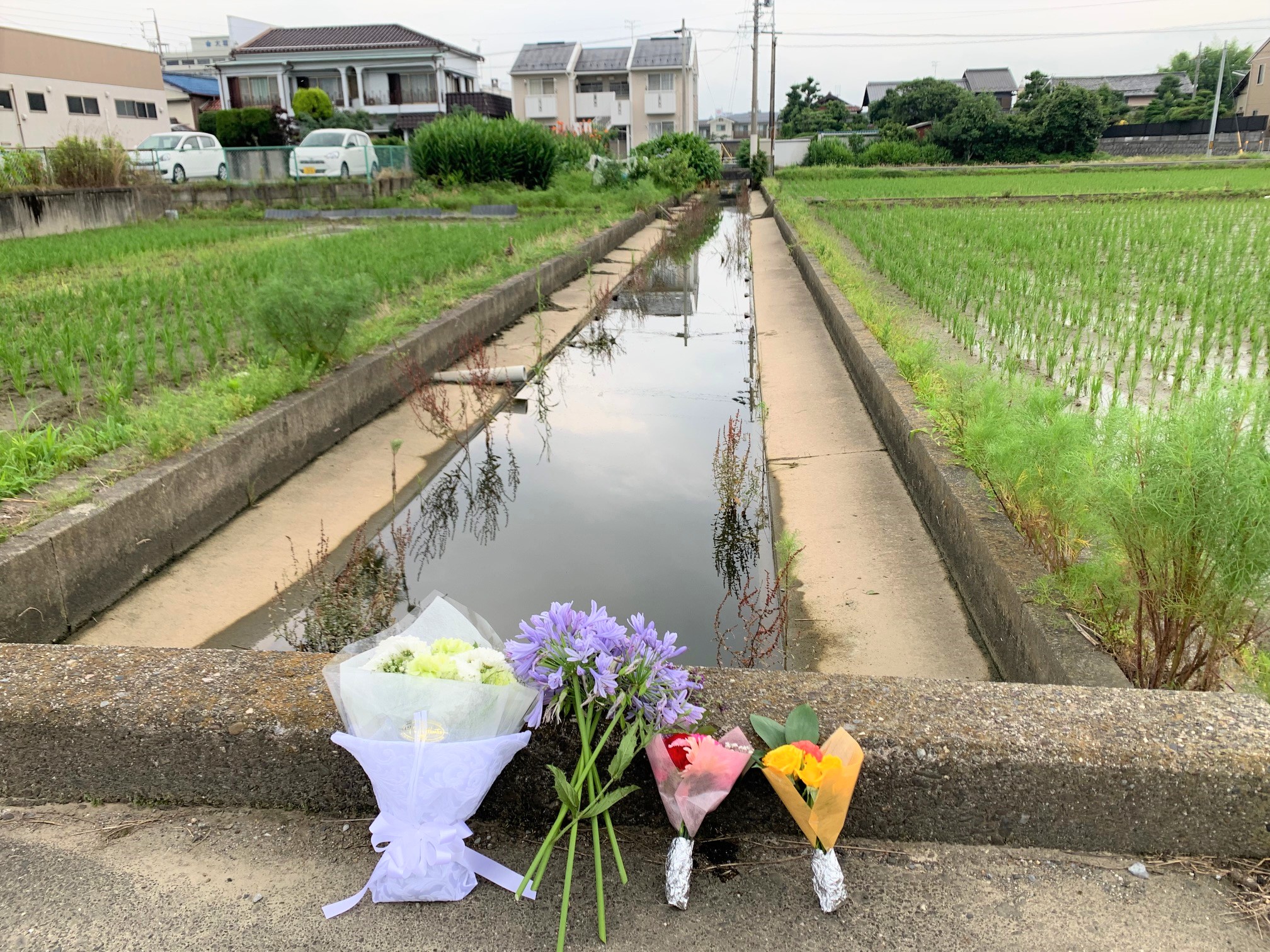 悲しい川の事故